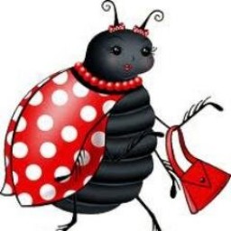 Coccinelle